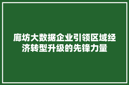 廊坊大数据企业引领区域经济转型升级的先锋力量 廊坊大数据企业引领区域经济转型升级的先锋力量