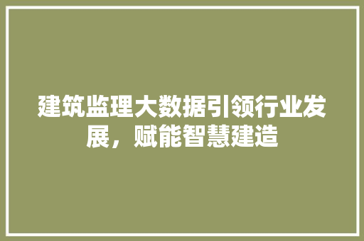 建筑监理大数据引领行业发展，赋能智慧建造