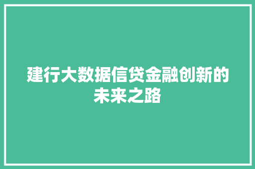 建行大数据信贷金融创新的未来之路 建行大数据信贷金融创新的未来之路