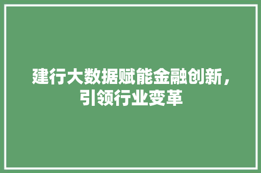 建行大数据赋能金融创新,引领行业变革 建行大数据赋能金融创新,引领行业变革