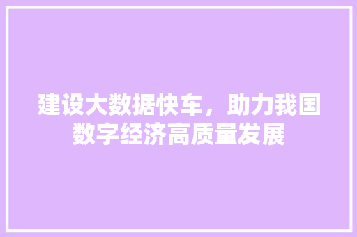 建设大数据快车,助力我国数字经济高质量发展 建设大数据快车,助力我国数字经济高质量发展