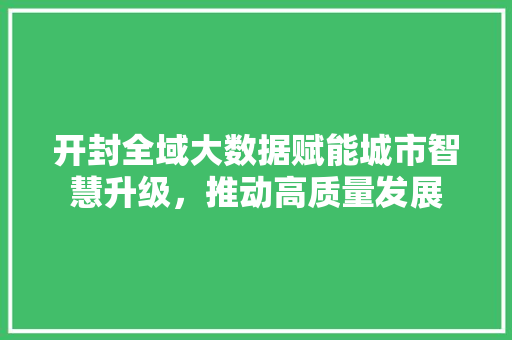 开封全域大数据赋能城市智慧升级，推动高质量发展