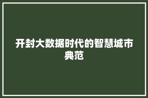 开封大数据时代的智慧城市典范