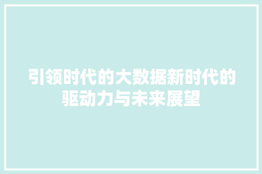 引领时代的大数据新时代的驱动力与未来展望