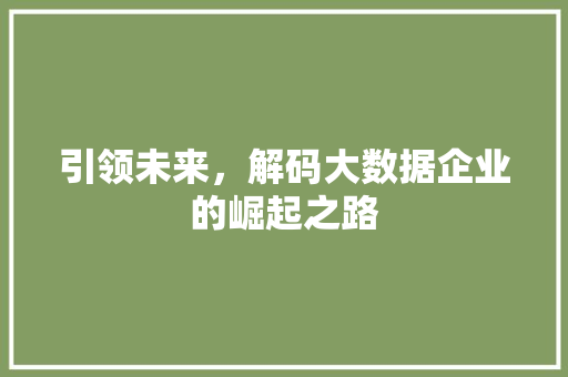 引领未来,解码大数据企业的崛起之路 引领未来,解码大数据企业的崛起之路