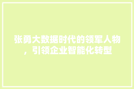 张勇大数据时代的领军人物，引领企业智能化转型