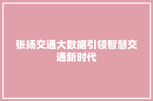 张扬交通大数据引领智慧交通新时代