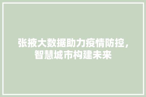 张掖大数据助力疫情防控，智慧城市构建未来