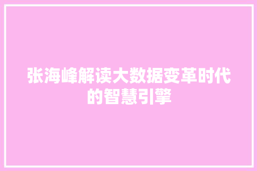 张海峰解读大数据变革时代的智慧引擎