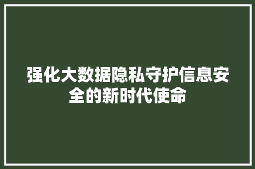 强化大数据隐私守护信息安全的新时代使命 强化大数据隐私守护信息安全的新时代使命