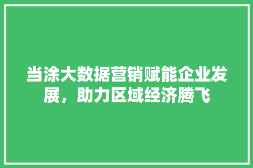 当涂大数据营销赋能企业发展，助力区域经济腾飞