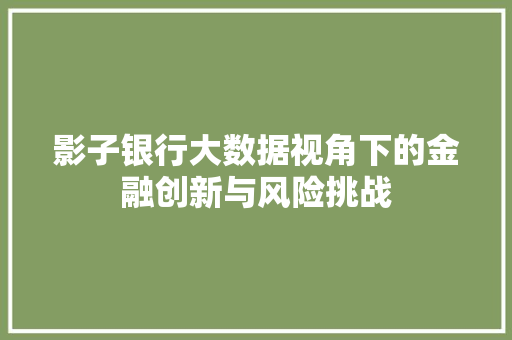 影子银行大数据视角下的金融创新与风险挑战