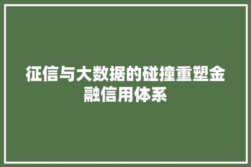征信与大数据的碰撞重塑金融信用体系