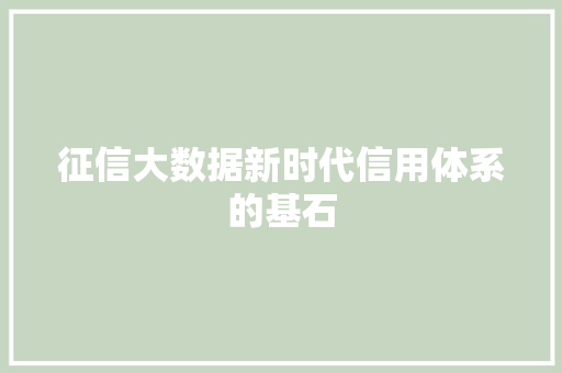 征信大数据新时代信用体系的基石
