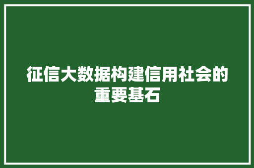 征信大数据构建信用社会的重要基石