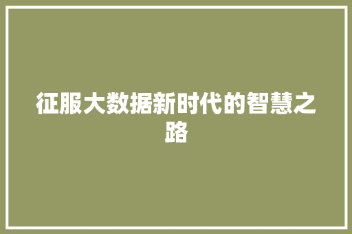 征服大数据新时代的智慧之路 征服大数据新时代的智慧之路