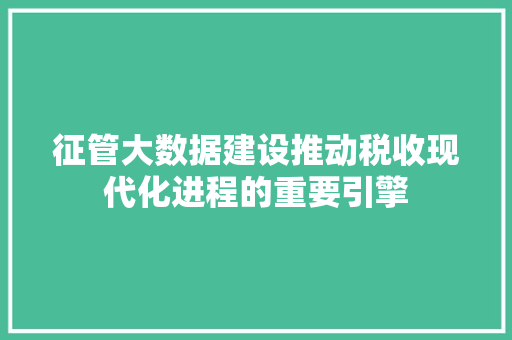 征管大数据建设推动税收现代化进程的重要引擎 征管大数据建设推动税收现代化进程的重要引擎