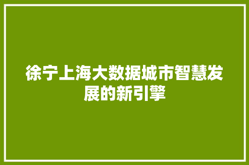 徐宁上海大数据城市智慧发展的新引擎 徐宁上海大数据城市智慧发展的新引擎