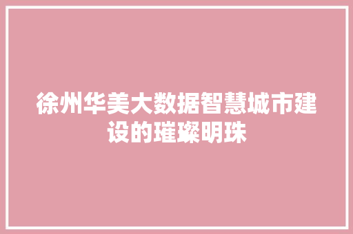 徐州华美大数据智慧城市建设的璀璨明珠 徐州华美大数据智慧城市建设的璀璨明珠