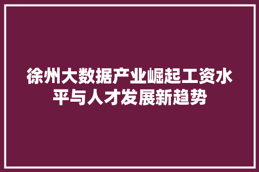 徐州大数据产业崛起工资水平与人才发展新趋势 徐州大数据产业崛起工资水平与人才发展新趋势