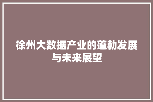 徐州大数据产业的蓬勃发展与未来展望