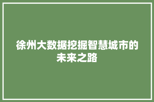 徐州大数据挖掘智慧城市的未来之路 徐州大数据挖掘智慧城市的未来之路