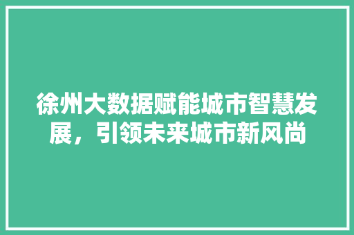 徐州大数据赋能城市智慧发展,引领未来城市新风尚 徐州大数据赋能城市智慧发展,引领未来城市新风尚