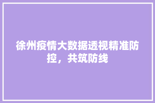 徐州疫情大数据透视精准防控，共筑防线