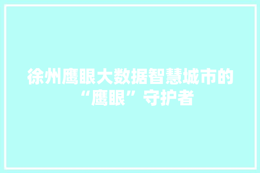 徐州鹰眼大数据智慧城市的“鹰眼”守护者
