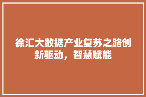 徐汇大数据产业复苏之路创新驱动，智慧赋能