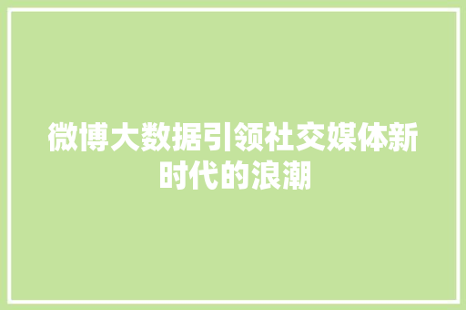 微博大数据引领社交媒体新时代的浪潮