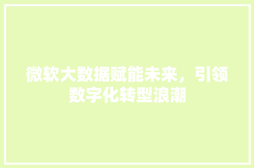 微软大数据赋能未来，引领数字化转型浪潮