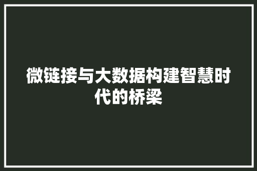 微链接与大数据构建智慧时代的桥梁