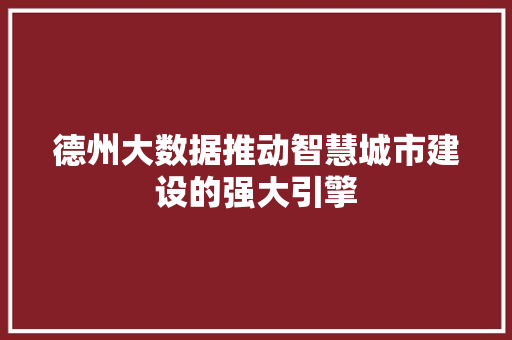 德州大数据推动智慧城市建设的强大引擎