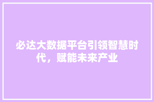 必达大数据平台引领智慧时代，赋能未来产业
