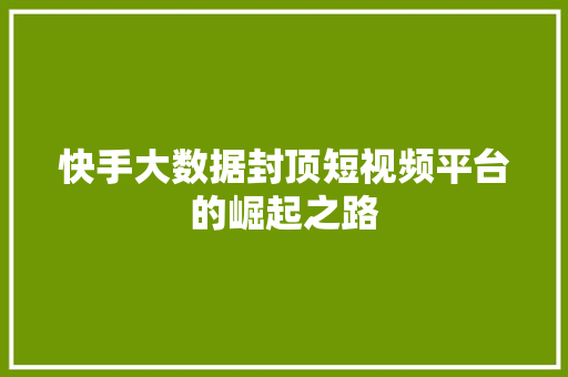 快手大数据封顶短视频平台的崛起之路