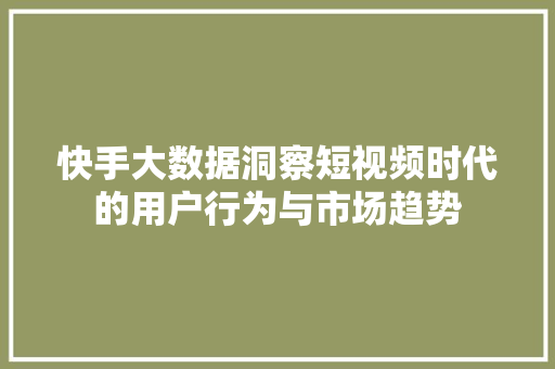 快手大数据洞察短视频时代的用户行为与市场趋势