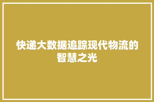 快递大数据追踪现代物流的智慧之光