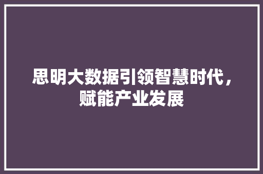 思明大数据引领智慧时代，赋能产业发展 电脑基础