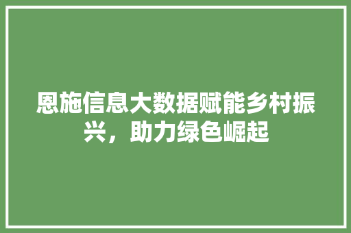 恩施信息大数据赋能乡村振兴，助力绿色崛起