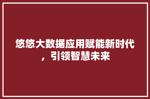 悠悠大数据应用赋能新时代，引领智慧未来
