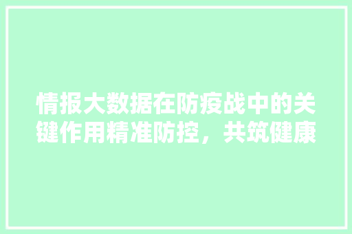 情报大数据在防疫战中的关键作用精准防控,共筑健康防线 电脑基础 情报大数据在防疫战中的关键作用精准防控,共筑健康防线 电脑基础