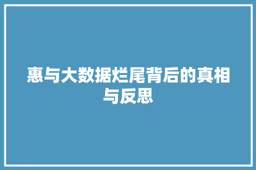 惠与大数据烂尾背后的真相与反思