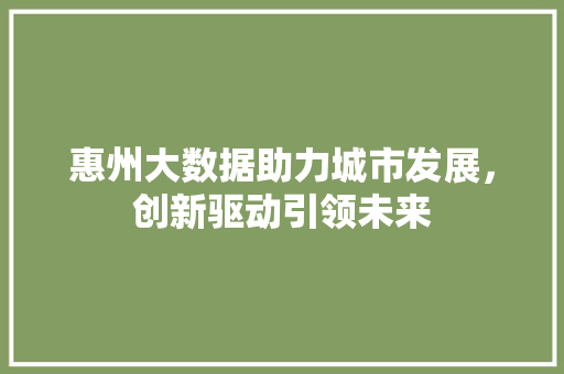 惠州大数据助力城市发展，创新驱动引领未来