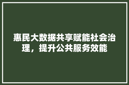 惠民大数据共享赋能社会治理，提升公共服务效能