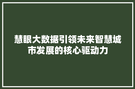 慧眼大数据引领未来智慧城市发展的核心驱动力