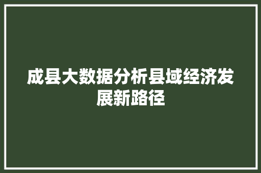 成县大数据分析县域经济发展新路径