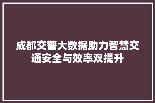 成都交警大数据助力智慧交通安全与效率双提升