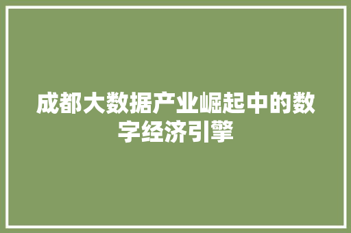 成都大数据产业崛起中的数字经济引擎