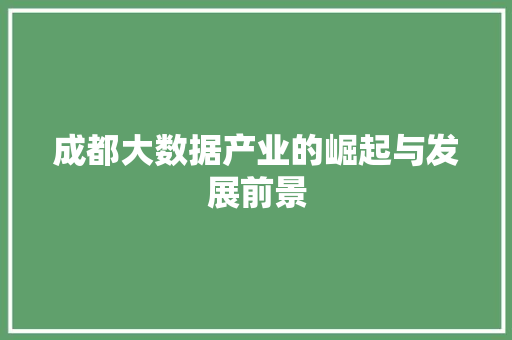 成都大数据产业的崛起与发展前景 操作系统 成都大数据产业的崛起与发展前景 操作系统